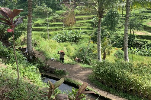 Bali Culture